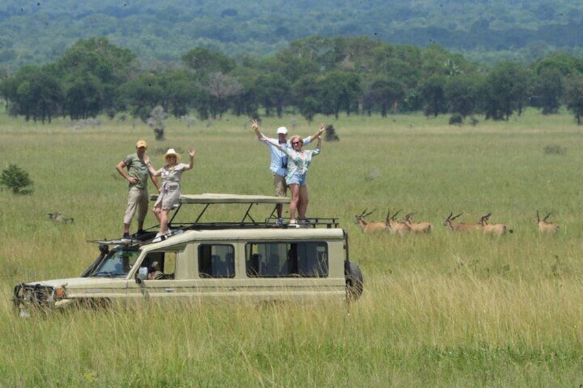 Day Trip to Mikumi Wildlife Safari & Game Drive