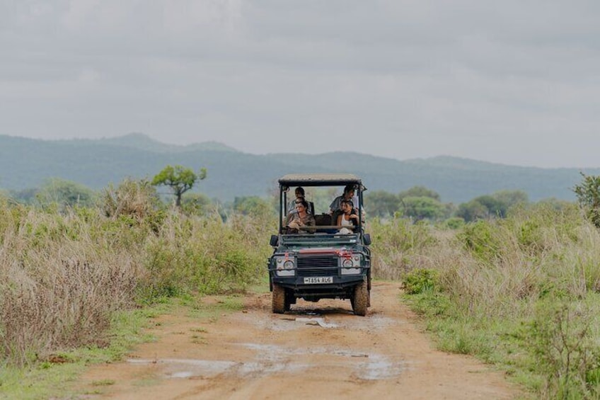 Game Drive in Mikumi National Park