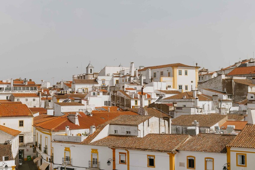 Picture 7 for Activity From Lisbon: Évora and Monsaraz Day Tour with Wine Tasting