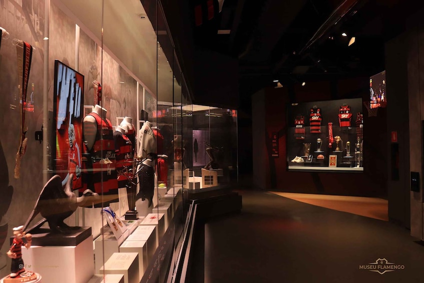 Picture 2 for Activity Rio de Janeiro: Flamengo Museum Ticket Entrance