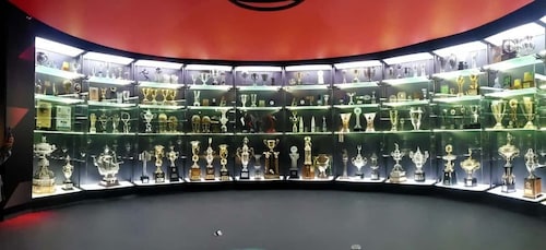 Rio de Janeiro: Flamengo Museum inngangsbillett