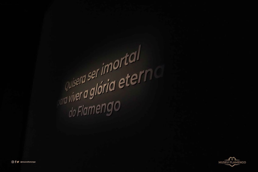Picture 1 for Activity Rio de Janeiro: Flamengo Museum Ticket Entrance