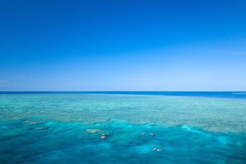 Great Barrier Reef Snorkel Day Tour Cairns: SeaQuest