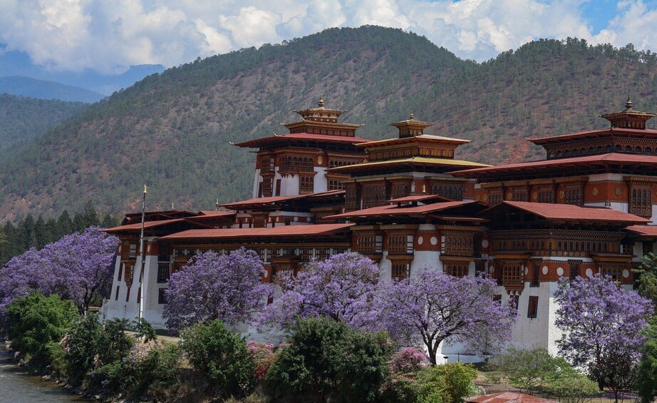 Picture 8 for Activity Glimpse of Bhutan