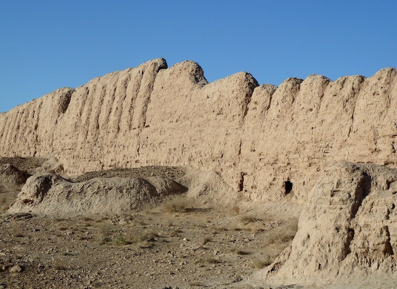 Picture 4 for Activity Day trip to desert fortresses near Khiva