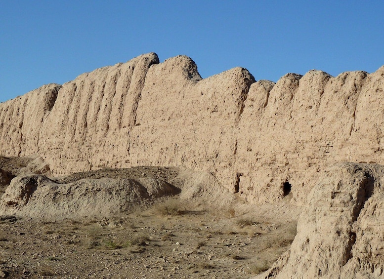 Picture 4 for Activity Day trip to desert fortresses near Khiva