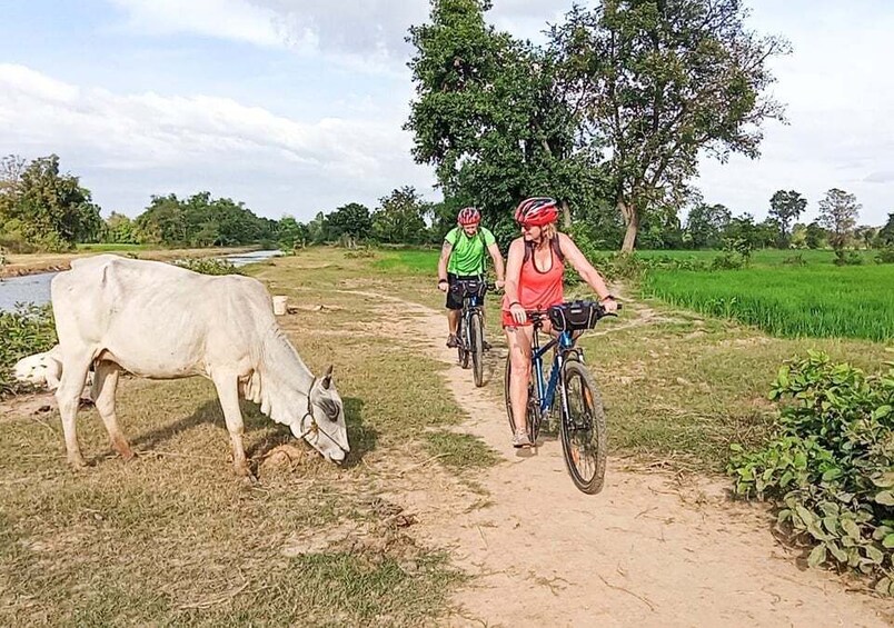 Picture 3 for Activity Battambang: Full-Day Countryside Cycling Tour with Lunch