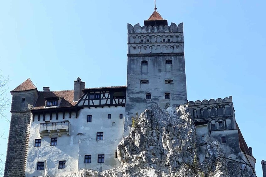 Picture 19 for Activity Legends&Wildlife Awaits: Dracula's Castle & Bear Sanctuary