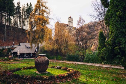 Te esperan leyendas y vida salvaje: el castillo de Drácula y el santuario d...