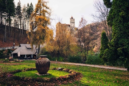 Vanuit Boekarest: Dracula's kasteel & berenreservaat dagtour