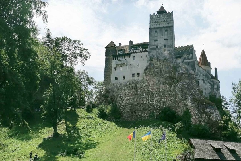 Picture 4 for Activity Legends&Wildlife Awaits: Dracula's Castle & Bear Sanctuary