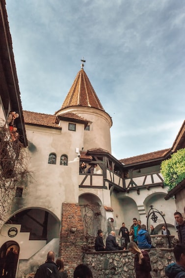 Picture 11 for Activity From Bucharest: Dracula's Castle & Bear Sanctuary Day Tour