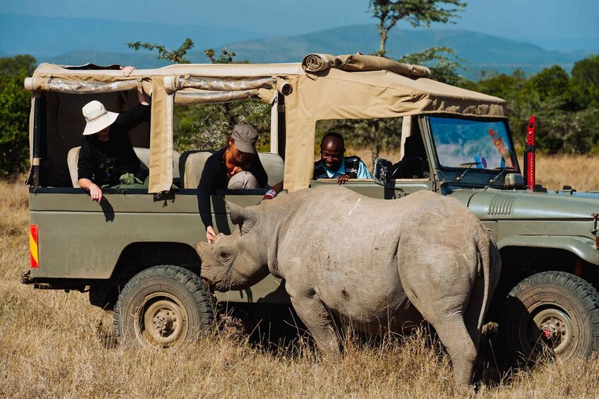 Picture 1 for Activity Nairobi national park Sunrise Game Drive