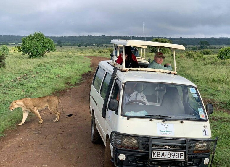 Nairobi national park Sunrise Game Drive