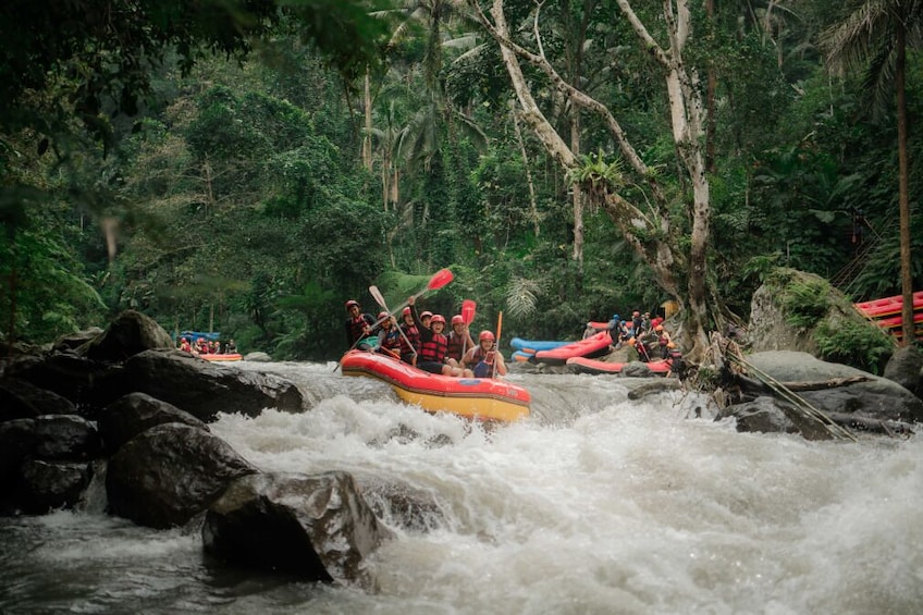 Red Paddle Rafting by Bali Made