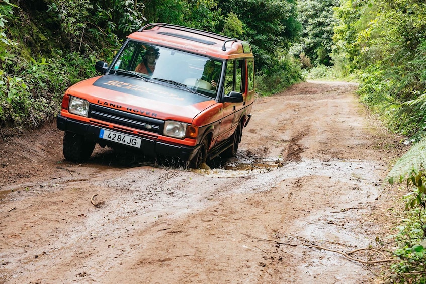 Picture 11 for Activity Madeira: Half-Day Pico Arieiro Jeep Tour