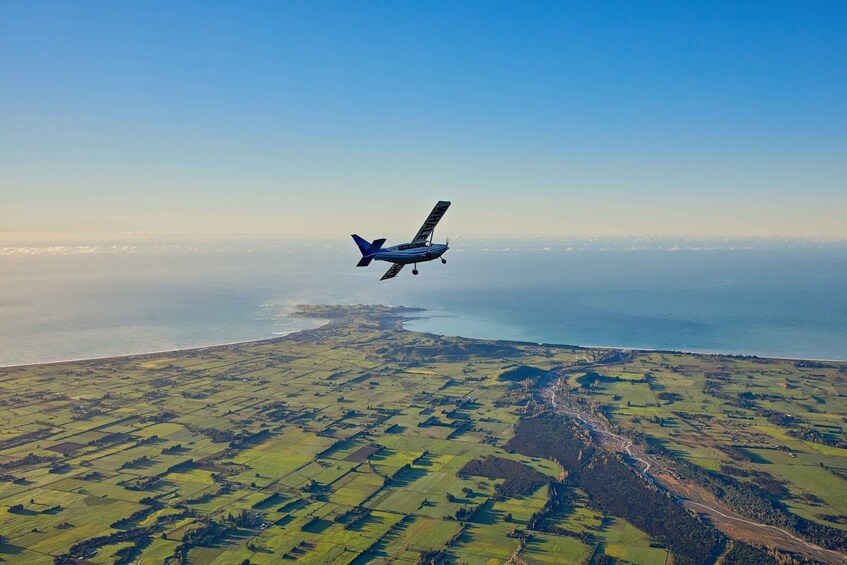 Picture 3 for Activity Kaikoura: Whale Watching Flight with Hot Drinks