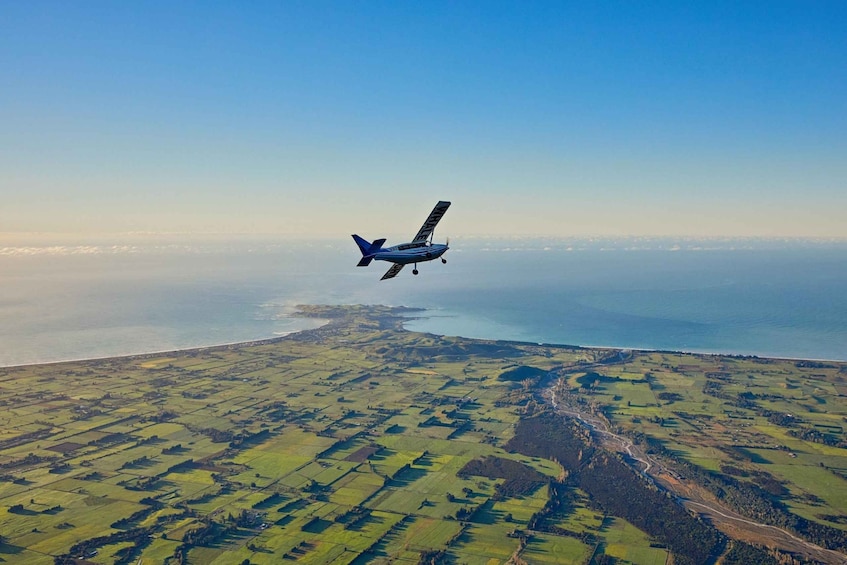 Picture 3 for Activity Kaikoura: Premium Whale Watching Flight