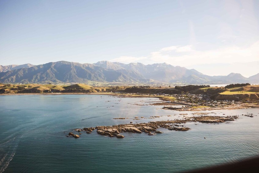 Picture 11 for Activity Kaikoura: Stunning Whale Flight with Guided Commentary