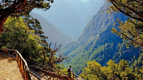 Desde Chania/Rethymno: Samaria Gorge Easy Way