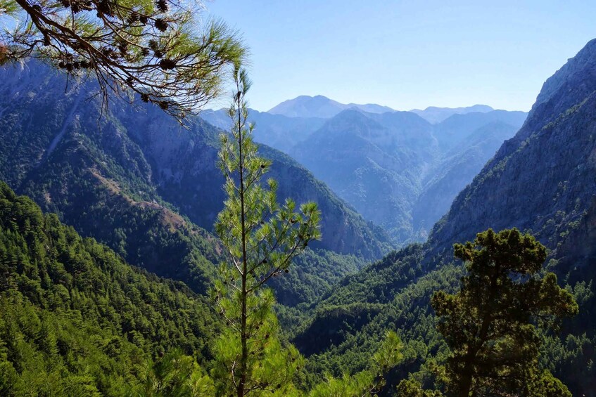 Picture 3 for Activity From Chania/Rethymno: Samaria Gorge Easy Way