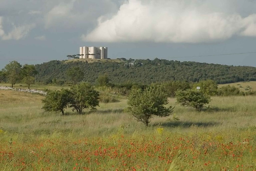 Andria: Castel Del Monte 1.5-Hour Guided Tour