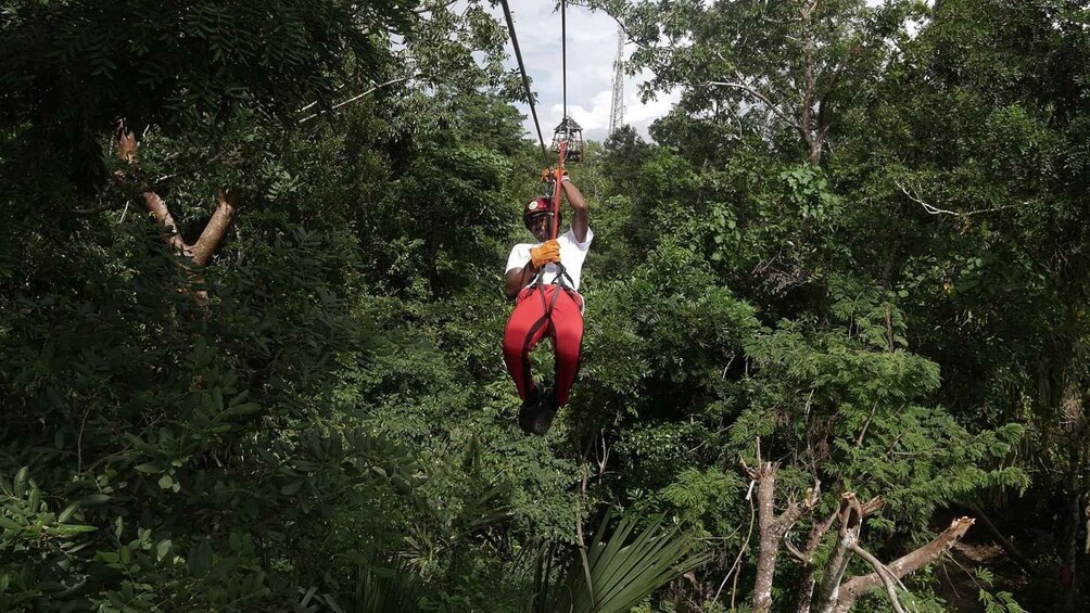 Picture 5 for Activity The Original Cozumel Zipline Adventure