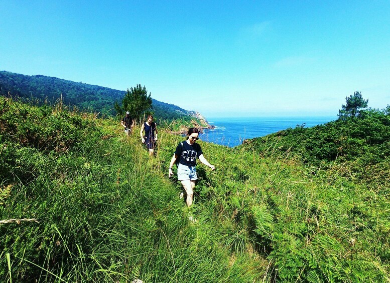 Picture 6 for Activity San Sebastián: Hike in the North Way of Saint James