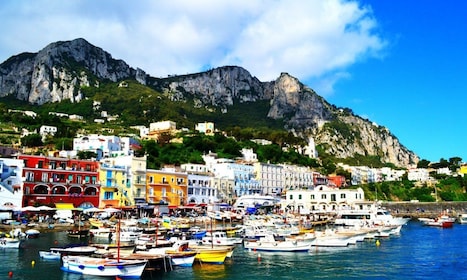 Da Napoli: Tour dell'isola di Capri di una giornata intera