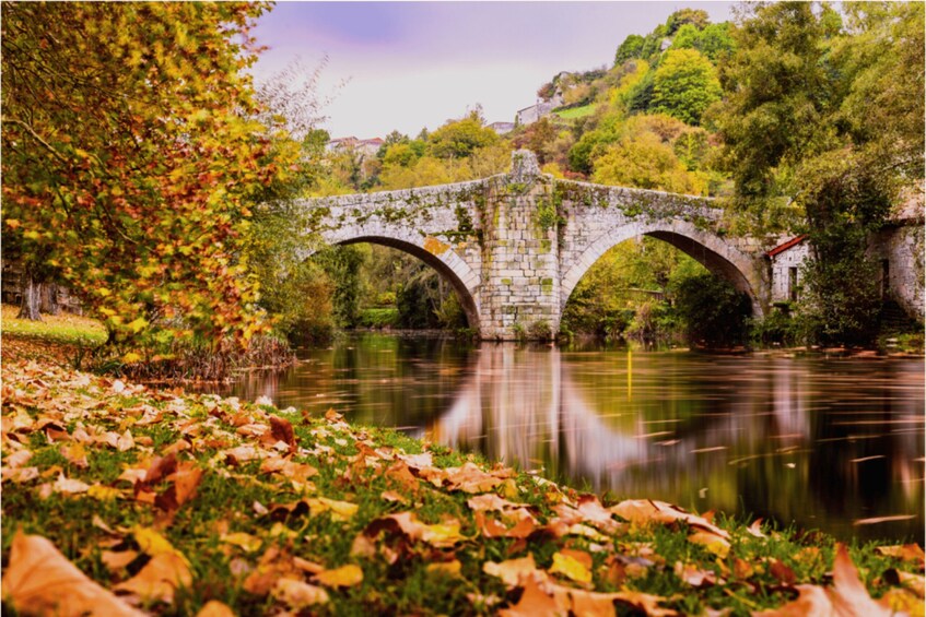 Picture 1 for Activity From Santiago: Ribeira Sacra History & Art Trip with Cruise