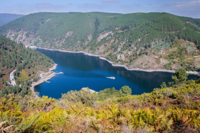 Picture 7 for Activity From Santiago: Ribeira Sacra History & Art Trip with Cruise