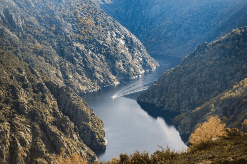 Picture 2 for Activity From Santiago: Ribeira Sacra History & Art Trip with Cruise