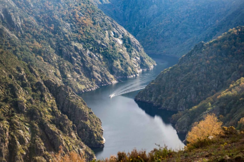 Picture 2 for Activity From Santiago: Ribeira Sacra History & Art Trip with Cruise