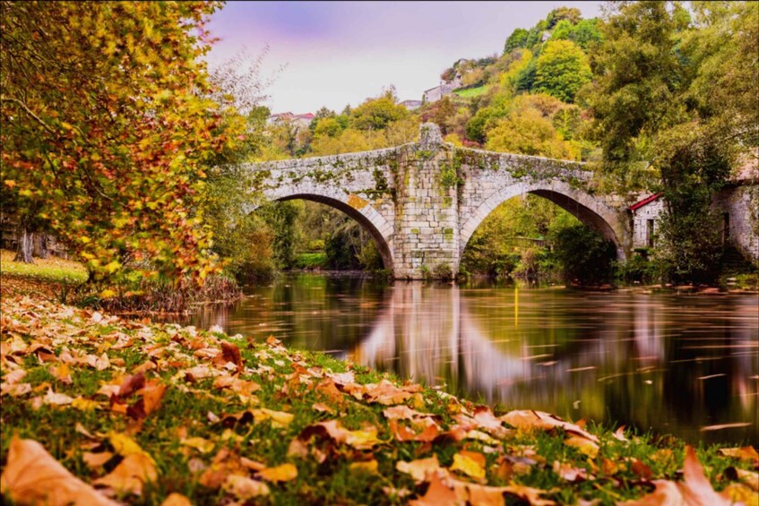 Picture 1 for Activity From Santiago: Ribeira Sacra History & Art Trip with Cruise