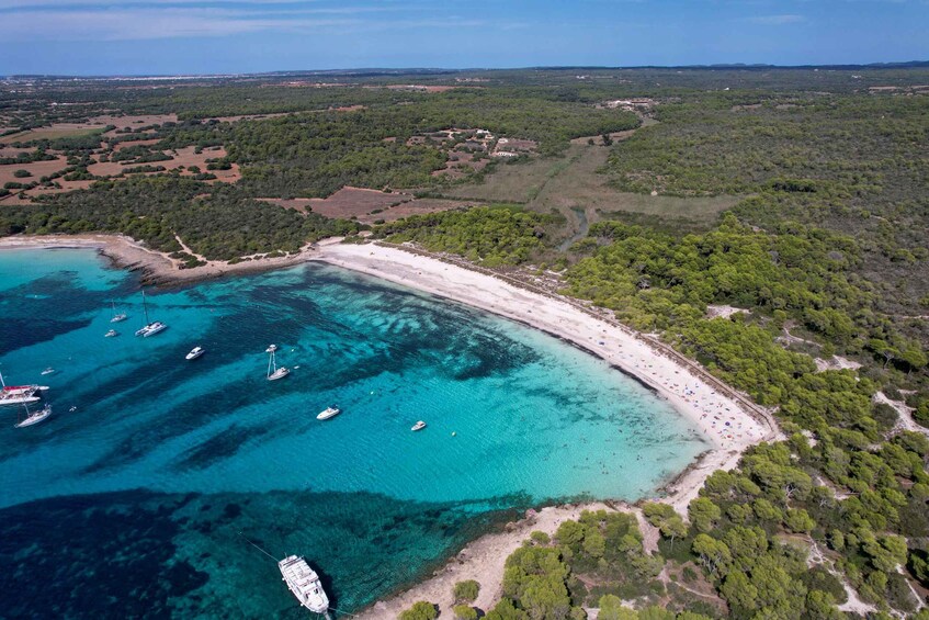 Picture 10 for Activity Menorca: Full-Day Boat Tour with Paella Lunch