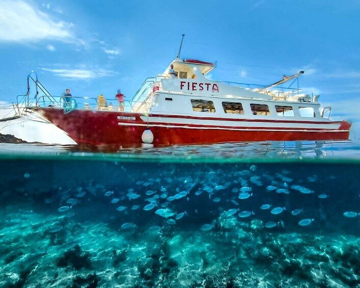 Picture 4 for Activity Menorca: Full-Day Boat Tour with Paella Lunch