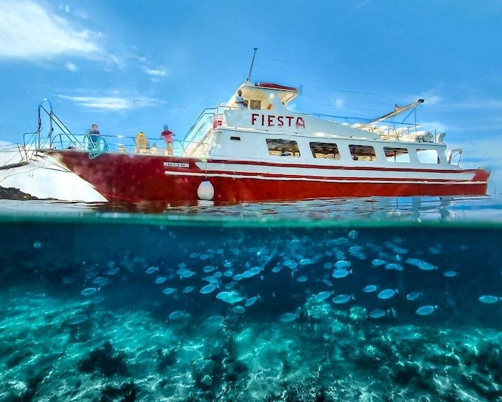 Picture 4 for Activity Menorca: Full-Day Boat Tour with Paella Lunch