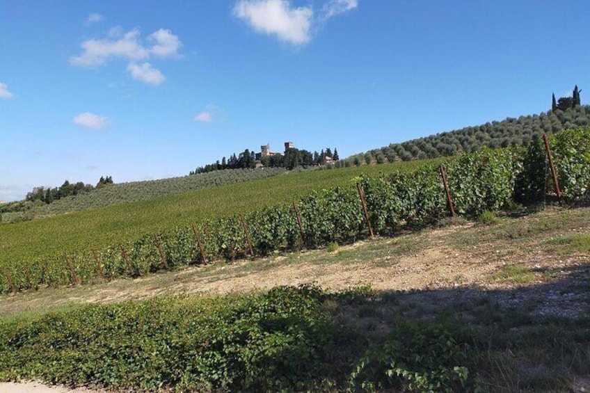 4 Hours Small Group Hiking in Secret Chianti with Guide 