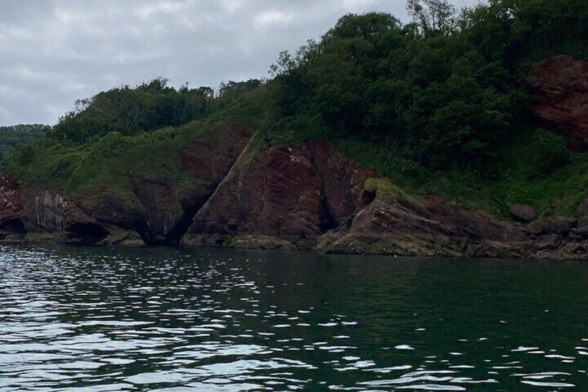 Luxury Private Rib Tour to Babbacombe Bay from Exmouth Marina