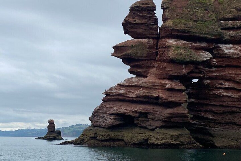 Luxury Private Rib Tour to Babbacombe Bay from Exmouth Marina