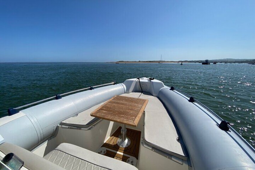 Luxury Private Rib Tour to Babbacombe Bay
