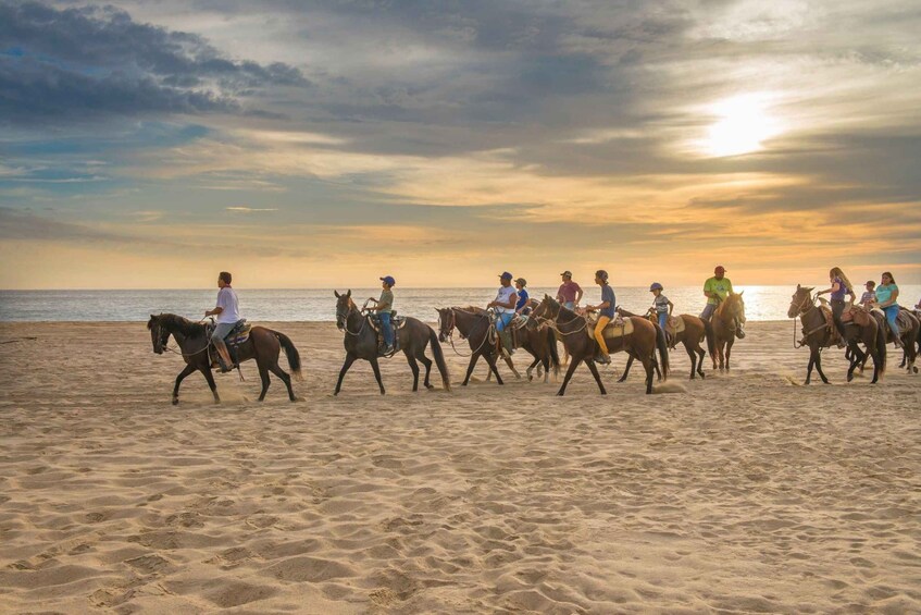 Picture 6 for Activity Agadir: Beach and Ranch Horse Riding Tour