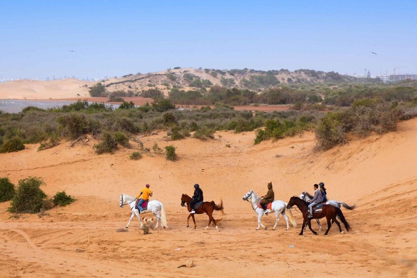 Picture 1 for Activity Agadir: Beach and Ranch Horse Riding Tour