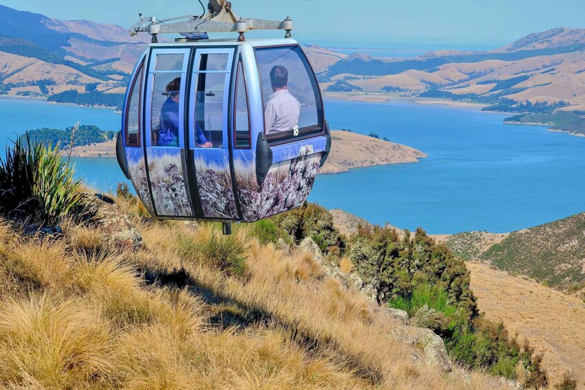 Picture 2 for Activity Christchurch: Gondola Ride