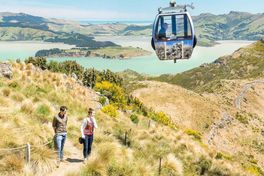 Picture 3 for Activity Christchurch: Gondola Ride