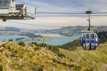 Christchurch : Gondola Ride