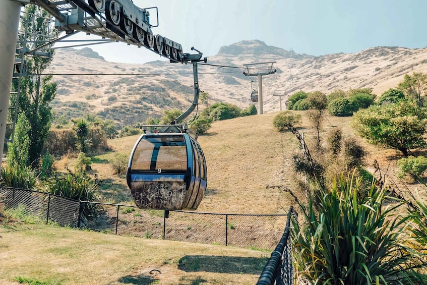 Picture 9 for Activity Christchurch: Gondola Ride