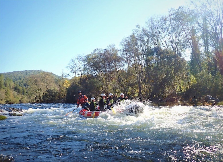 Picture 3 for Activity From Porto: Paiva River Rafting Discovery - Adventure Tour