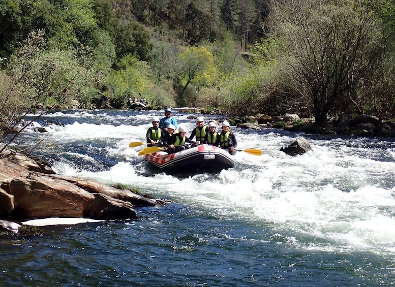 Picture 4 for Activity From Porto: Paiva River Rafting Discovery - Adventure Tour