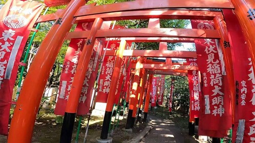 Une journée privée dans l'est de Kyoto standard